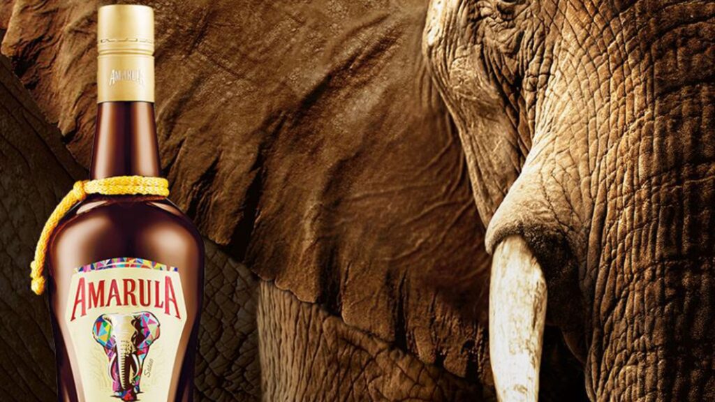 Amarula Cream Liqueur campaign