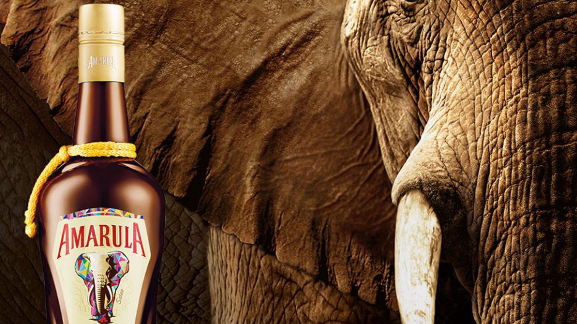 Amarula Cream Liqueur campaign